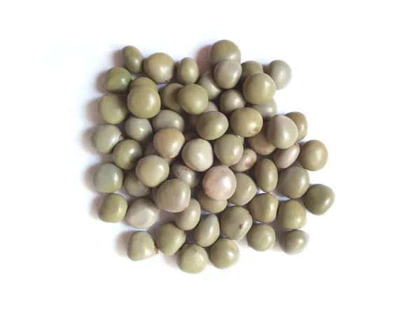 Vinarghya_-_Sagargota/_Katkaranj/_Fever_Nut/_Caesalpinia_Bonducella/_Karanjwa/_Kalarchikai/_Vajra_Bijaka/_Indian_Beech/_Lata_Karanj/_Gajaa/_Sagargoti/_Saargota/_Letaguti/_Gajga/_Gajikekayi_–_100_G