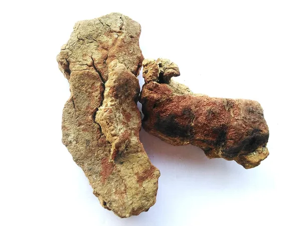 Vinarghya_Tejbal_Timru_Toothache_Tree_Tumbura_Tejasvini_Tejphal_Tumru_Chirphal_Winged_Prickly_Ash_Kababe_Dhiva_Tumburudu_Gandhalu_Gaira_Tumpunal_Fagireh_Kabava_Runda_100G