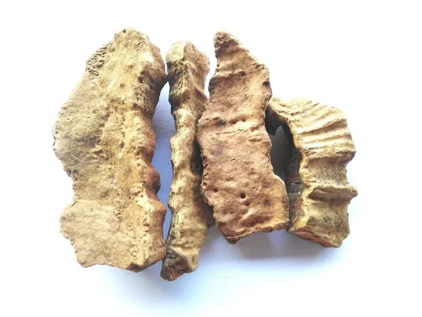 Vinarghya_Tejbal_Timru_Toothache_Tree_Tumbura_Tejasvini_Tejphal_Tumru_Chirphal_Winged_Prickly_Ash_Kababe_Dhiva_Tumburudu_Gandhalu_Gaira_Tumpunal_Fagireh_Kabava_Runda_100G