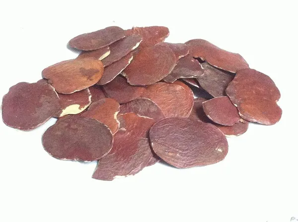 Vinarghya_–_Palas_Papadi/_Palash_Papda/_Plash_Beej/_Dhak/_Tesu_Bij/_Khakharo/_Kakracha/_Butea_Monospremal/_Bilas/_Brehma_Vriksham/_Chamatha/_Flame_Of_The_Forest_Seed/_पलाश_पापड़ा_–_100G