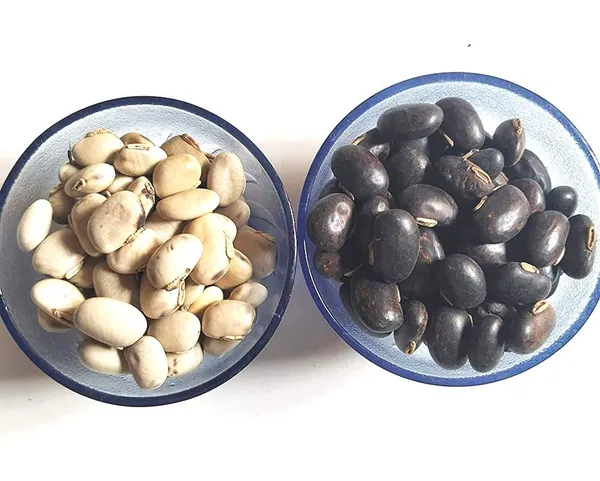 Vinarghya_–_Combo_Of_White_And_Black_Kaunch_Seed/_Mucuna_Pruriens/_Safed_–_Kala_Konch/_Kapikachchhu/_Gonca/_Kavach/_Tatgajuli/_Banar_Kakua/_Naikuruna/_Baikhujnee/_Poonaikkali/_Doolagondi/_कौंच_बीज_–_200G_Each
