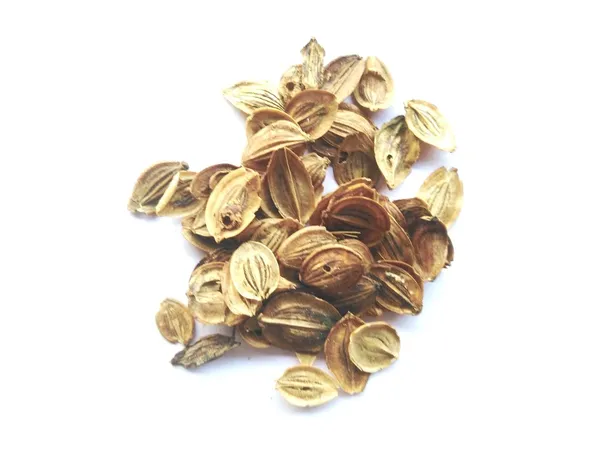 Vinarghya_–_Bafali/_Baphali/_Bafalli/_Baphalli_–_100G