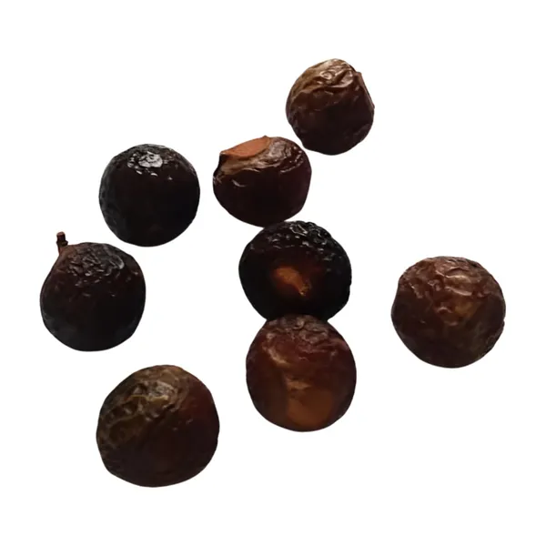 Vinarghya_–_Organic_Big_Reetha/_Areetha/_Bada_Ritha/_Herbal_Soap_Nut/_Kunkudukai/_Sapindus_Mukorossi/_बडा_रीठा_–_200G