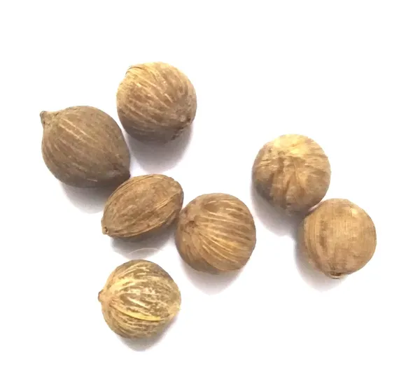 Vinarghya_-_Jangali_Nariyal/_Laghu_Nariyal/_Chota_Shrifal/_Dev_Nariyal_-_7_Pcs