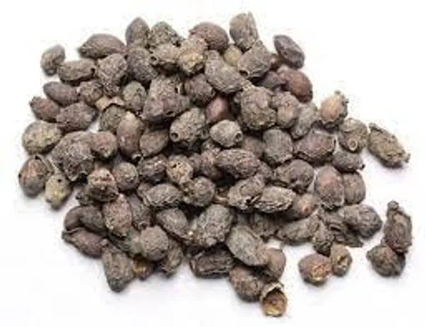 Vinarghya_-_Jamun_Bij/_Jambul/_Jamoon/_Java_Plum/_Kala_Jam/_Jamalu/_Neredu_Chettu/_Naval/_Nerale/_जामुन_बीज_-_100_G