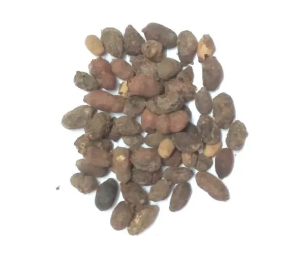 Vinarghya_-_Jamun_Bij/_Jambul/_Jamoon/_Java_Plum/_Kala_Jam/_Jamalu/_Neredu_Chettu/_Naval/_Nerale/_जामुन_बीज_-_100_G