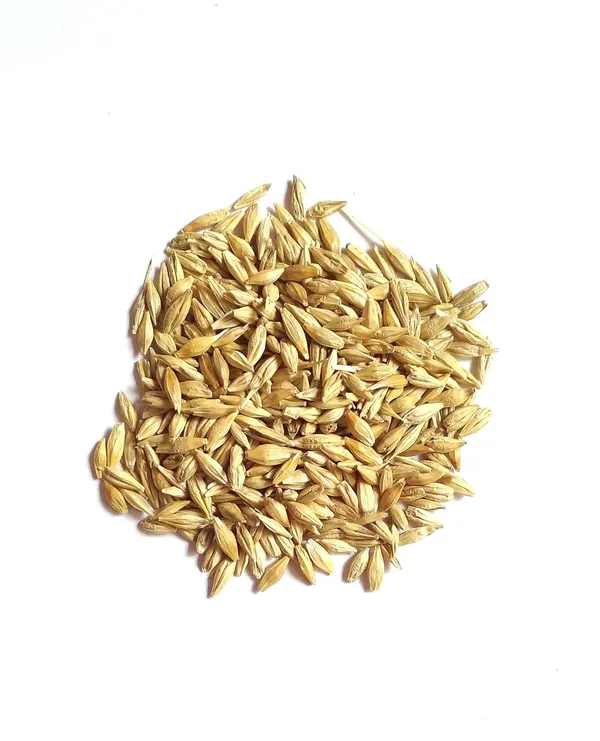 Vinarghya_-_Jav/_Jau/_Jab/_Java/_Yava/_Javegodhi/_Yavam/_Barliarisi/_Baril/_Barley/_Barli_Biyyam/_जव_-_200G