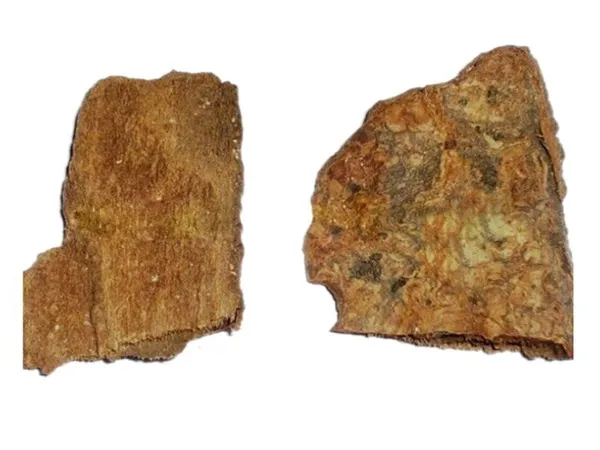 Vinarghya_Organic_Khanduchakra_Chaal_Ovate_Leaved_Ivory_Wood_Vadhavaradi_Bhairi_Chamror_Kalo_Gamdo_Caranti_Datrangi_Ajaanvruksha_Ehretia_Laevis_100G