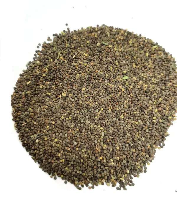 Vinarghya_–_Khuresani_Ajwain_Khurasani_/_Madkarini_/_Indian_Black_Henbane_Seed_/_Ajwayin_/_Barzulbanj_/_Omam_/_Parsekayavani_/_Khorasani_Ajwan_/_Khurasanee_Ajma_/_Ajmo_/_Ajvayan_/_Ajawaana_/_Yavaani_/_Paarasika_/_Ova_/_Bangidewana_/_Kuraasanee_Yomam_/_Ajvayanee_/_कुरेसानी_अजवाइन_–_100G