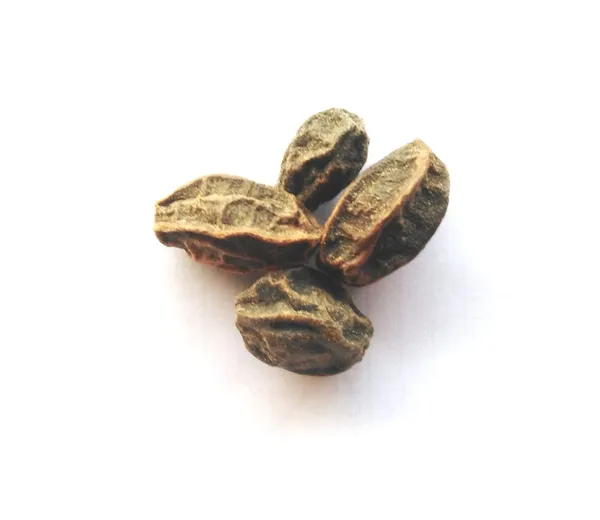 Vinarghya_–_Kali_Khajur/_Kadvi_Khajur/_Kali_Kharik/_काली_खजूर_–_5_Pcs