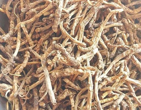 Vinarghya_–_Kutki_Herbs/_Kutaki_Jad/_Katukaa/_Katurohini/_Katuki/_Katki/_Picrorhiza_Root/_Kadu/_Kaduk/_Kalikutki/_Karru/_Katuku/_Kadugu_Rohini/_Karukarohini_–_50G