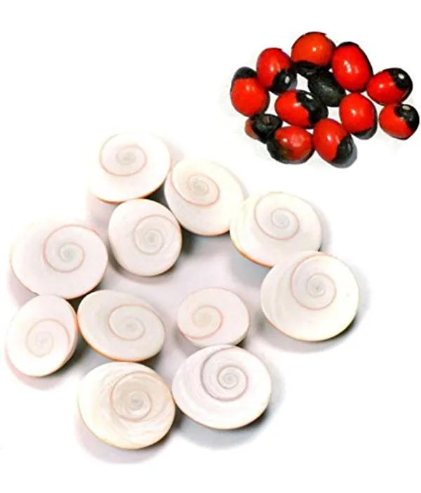 Vinarghya_–_Natural_Gomati_Chakra_–_Gomati_Chakram_–_Rakt_Gunj_–_Lal_Gunja_–_11+_11_Pieces