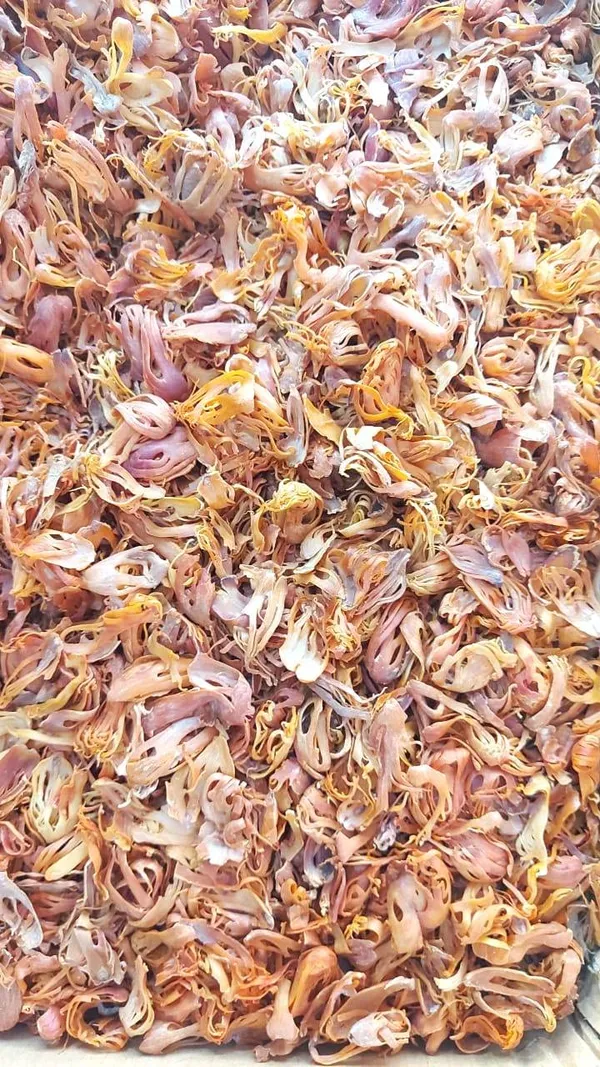 Vinarghya_-_Jaypatri/_Jaipatri/_Kerala_Mace/_Javitri_Whole/_Japatri_Flower/_Jayatri/_Jayapatri/_Jatipattri/_Javinthri/_Gayatri/_Jakayi_Patri/_Jathipatri/_Jawattri/_Cati-Pattiri/_जायपत्री_-_50G