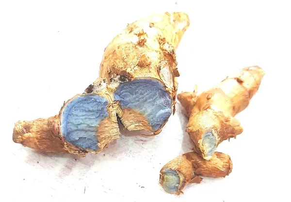 Vinarghya_-_Pure_Original_Natural_Kali_Haldi/_Fresh_Black_Turmeric_For_Pooja_(Standard)_/_Pujan_Samugri/_Jamuni_Haladi_Ki_Ganth/_Krishna_Haridra/_Nall_Pasupu/_जामुनी_हल्दी_-_50G
