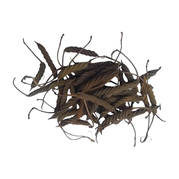 Vinarghya_–_Marodfalli/_Murad_Phalli/_Muradphalli/_Helicteres_Isora/_Marorphali/_Indian_Screw/_Marori/_Atmora/_Mriga_Shinga/_Muradsheng_–_100G