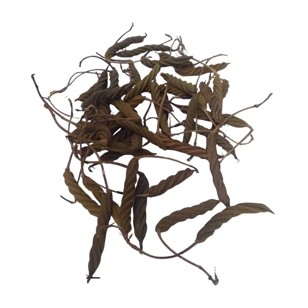 Vinarghya_–_Marodfalli/_Murad_Phalli/_Muradphalli/_Helicteres_Isora/_Marorphali/_Indian_Screw/_Marori/_Atmora/_Mriga_Shinga/_Muradsheng_–_100G