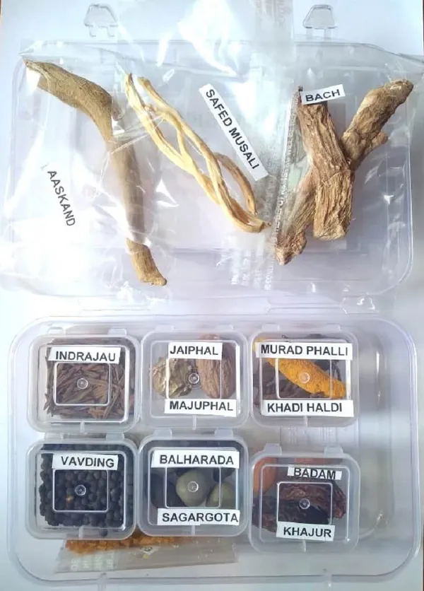 Vinarghya_–_Premium_Bal_Ghuti/_Ghuti_Ka_Saman/_Standard_Balghuti/_Balguti/_Bal_Sathi/_Jeevan_Ghuti/_Ayurvedic_Ghutti_-_1-2_Pcs_Each