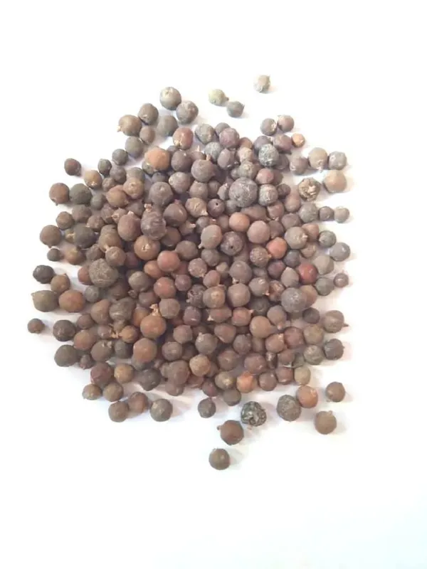 Vinarghya_–_Houber/_Juniper_Berry/_Palash/_Hayusha/_Hosha/_Halvulba/_Abhal/_Vapusha/_Hapusa/_Aaraar/_Hauber_–_100G
