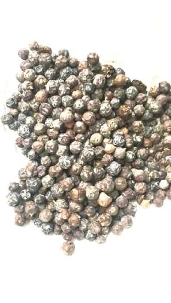 Vinarghya_–_Houber/_Juniper_Berry/_Palash/_Hayusha/_Hosha/_Halvulba/_Abhal/_Vapusha/_Hapusa/_Aaraar/_Hauber_–_100G