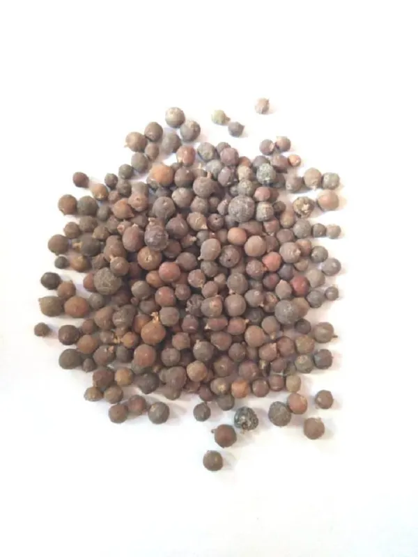 Vinarghya_–_Houber/_Juniper_Berry/_Palash/_Hayusha/_Hosha/_Halvulba/_Abhal/_Vapusha/_Hapusa/_Aaraar/_Hauber_–_100G