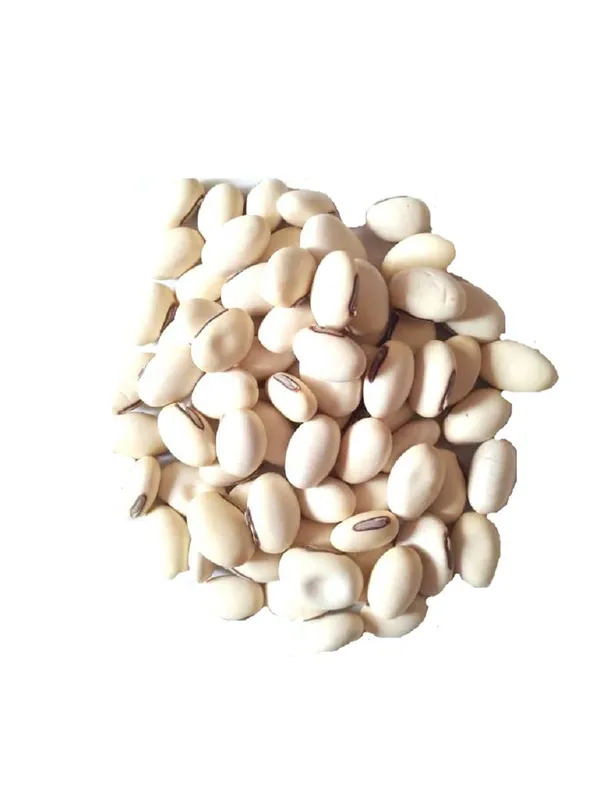 Vinarghya_–_Kaunch_Seed_Full_White/_Safed_Kaunch_Beej/_Mucuna_Pruriens/_Kapikachchhu/_Konch/_Gonca/_Kavach/_Tatgajuli/_Banar_Kakua/_Naikuruna/_Baikhujnee/_Poonaikkali/_Doolagondi_–_200G