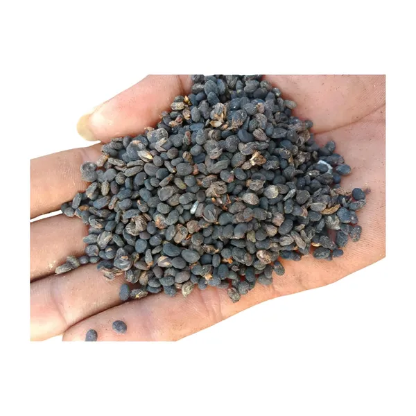 Vinarghya_–_Bavanchi_Powder/_Psoralea_Corylifolia_Seed/_Lalakasturi/_Sugandha-Kantak/_Babchi/_Habuch/_Bavachi/_Bavanchalu/_Bakuchi_Churna_–_200G