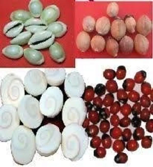Vinarghya_–_Mahalakshmi_Kit_(Gomti_Chakra,_Red_Gunja,_Yellow_Cowrie,_Kamal_Beej,_Small_Shriphal)_Mahalaxmi_Pooja_Combo_–_11Pcs_Each