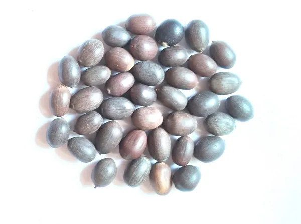 Vinarghya_–_Mahalakshmi_Kit_(Gomti_Chakra,_Red_Gunja,_Yellow_Cowrie,_Kamal_Beej,_Small_Shriphal)_Mahalaxmi_Pooja_Combo_–_11Pcs_Each