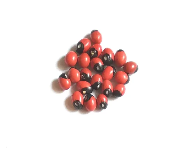 Vinarghya_–_Mahalakshmi_Kit_(Gomti_Chakra,_Red_Gunja,_Yellow_Cowrie,_Kamal_Beej,_Small_Shriphal)_Mahalaxmi_Pooja_Combo_–_11Pcs_Each