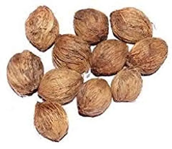 Vinarghya_Laghu_Shreefal_Mahalakshmi_Small_Coconut_Jangali_Laghu_Nariyal_Chota_Shrifal_Dev_Nariyal_-_11_Pcs