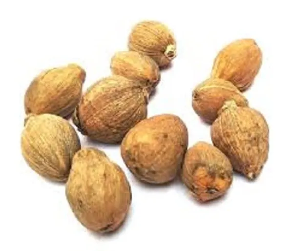 Vinarghya_Mahalakshmi_Small_Coconut_Laghu_Shreefal_Jangali_Laghu_Nariyal_Chota_Shrifal_Dev_Nariyal_-_108_Pcs