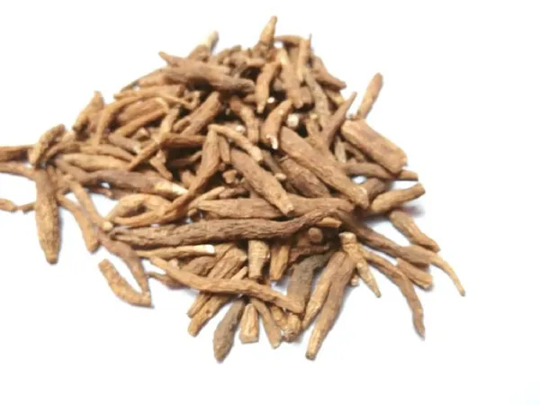 Vinarghya_–_Ativisha/_Aruna/_Ghunapriya/_Aatich/_Ataicha/_Atis_Root/_Ativishni_Kali/_Ativikhani/_Athihage/_Kath/_Atividayam/_Atit_Kandi/_Atushi/_Atisa/_Atees_–_20G