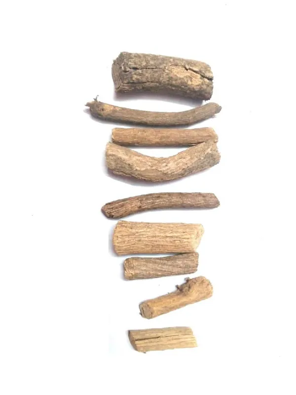 Vinarghya_–_Vidhara/_Varadhara/_Vardharo/_Samdrasosha/_Ghav_Bel/_Vijatada/_Samudrapala/_Samudrapachhai/_Chandrapaada_–_100G