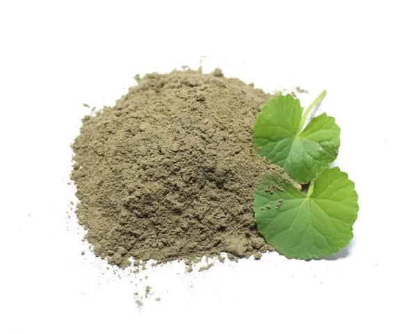 Vinarghya_–_Brahmi_Powder/_Bacopa_Monnieri/_Birami/_Sambarenu/_Jala_Brhami/_Neer_Brahmmi_Churna_/_ब्राह्मी_–_100G