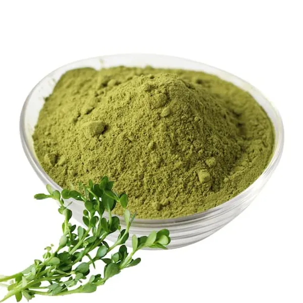 Vinarghya_–_Brahmi_Powder/_Bacopa_Monnieri/_Birami/_Sambarenu/_Jala_Brhami/_Neer_Brahmmi_Churna_/_ब्राह्मी_–_100G