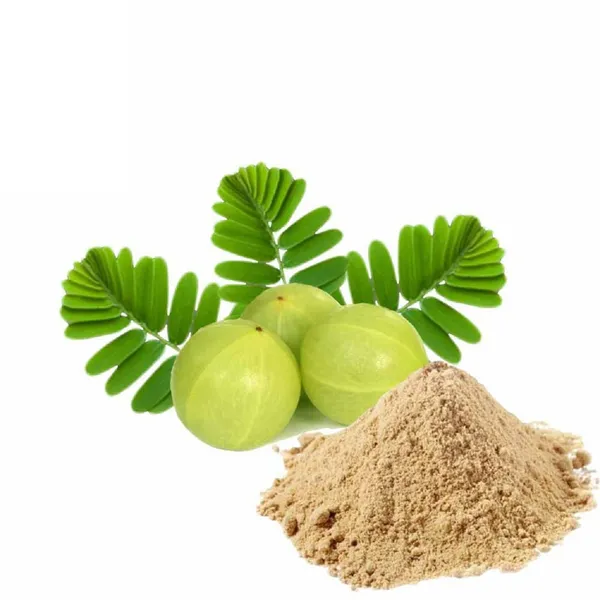 Vinarghya_–_Indian_Gooseberry_Powder/_Dried_Amla_Churna/_Aonla/_Amloki/_Nelli/_Amalki/_Anwla/_Bahu_Muli/_Aamalaka/_Omala/_Avalo/_आवळा_–_200G