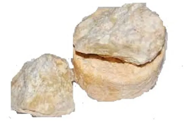 Vinarghya_-_Kokum_Butter_Oil/_Kokamba/_Kokam_Tail/_Devana_Huli_For_Cracked_Heels_And_Chapped_Lips_-_100G