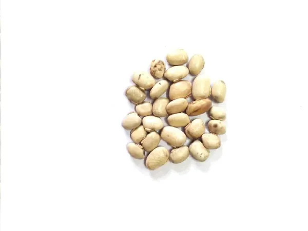 Vinarghya_–_White_Kaunch_Seed/_Safed_Konch/_Mucuna_Pruriens/_Kapikachchhu/_Gonca/_Kavach/_Tatgajuli/_Baikhujnee/_Poonaikkali/_Doolagondi_–_900G