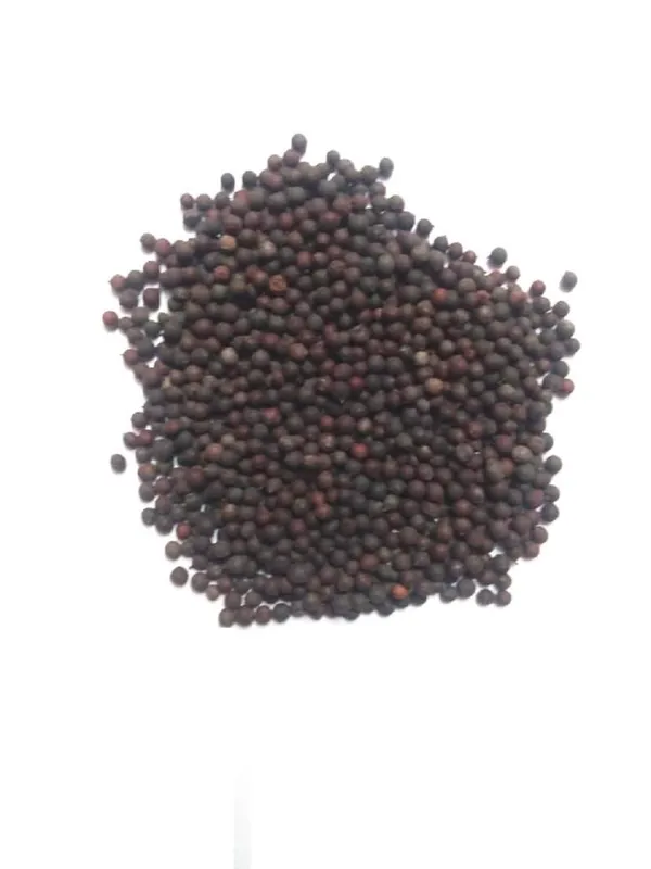 Vinarghya_–_Vidanga/_Vavding/_Vizalari/_Wawerung/_Amogha/_Baobadang/_Ambati/_Vayuvidangam/_Embelia_Ribes/_False_Black_Peper/_विडंग_वावडिंग_–_900G