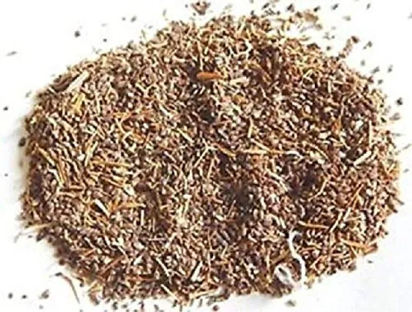 Vinarghya_-_Talmakhana/_Talimkhana/_Asteracantha_Longifolia/_Hygrophila/_Kulikanta/_Nirmulli/_Gokulakanta/_Kuliyakhara/_Shrigali/_Ikshura/_Kokilaaksha_–_900G