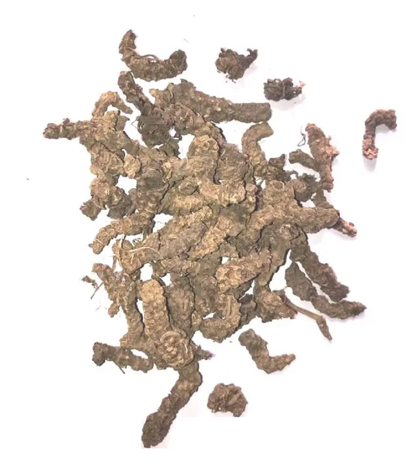 Vinarghya_–_Tagar/_Tagar_Ganth/_Valeriana_Wallichi/_Indian_Valerian/_Mushkabala/_Sugandhabala_–_900G