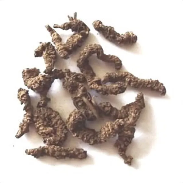 Vinarghya_–_Tagar/_Tagar_Ganth/_Valeriana_Wallichi/_Indian_Valerian/_Mushkabala/_Sugandhabala_–_900G