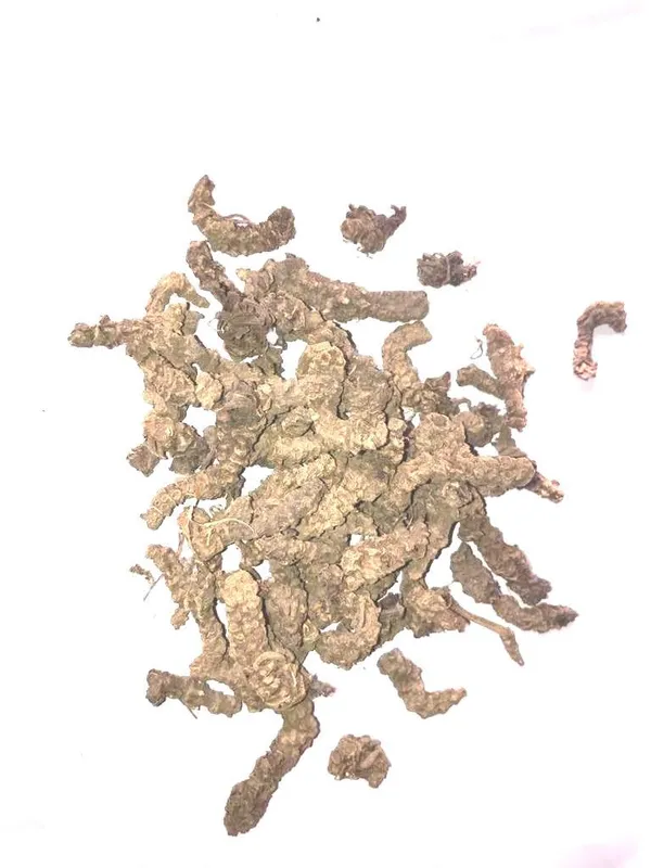 Vinarghya_–_Tagar/_Tagar_Ganth/_Valeriana_Wallichi/_Indian_Valerian/_Mushkabala/_Sugandhabala_–_900G