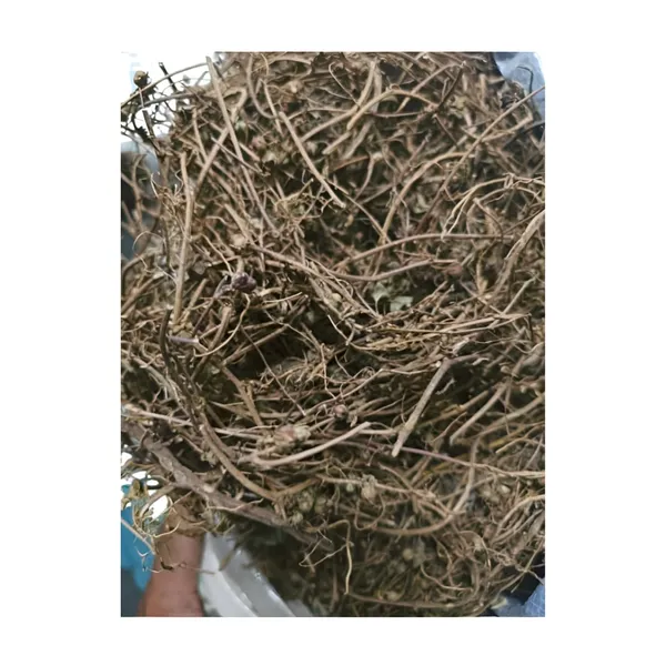 Vinarghya_–_Bhumi_Avala/_Amla/_Bhumyamalaki/_Bhuin_Amla/_Bhumala/_Bhui_Avla/_Kilanelli/_Jangli_Amlai/_Bahupatra_–_100G