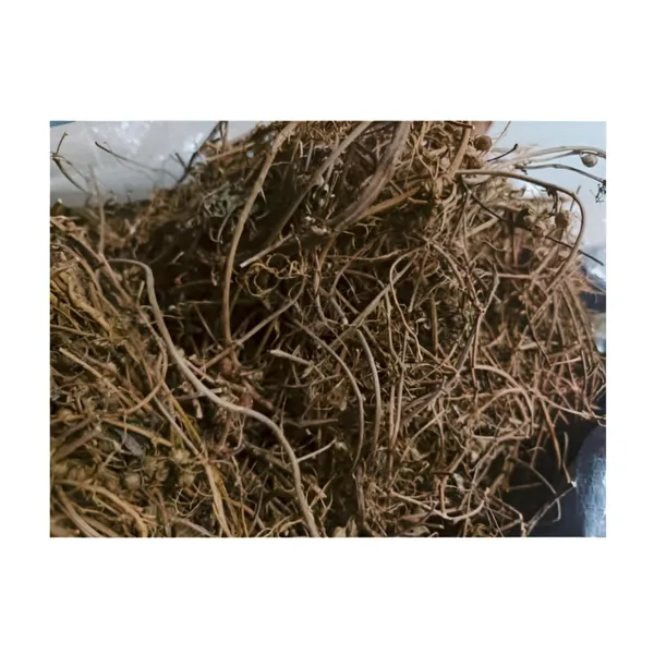 Vinarghya_–_Bhumi_Avala/_Amla/_Bhumyamalaki/_Bhuin_Amla/_Bhumala/_Bhui_Avla/_Kilanelli/_Jangli_Amlai/_Bahupatra_–_100G