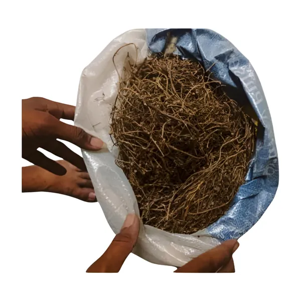 Vinarghya_–_Bhumi_Avala/_Amla/_Bhumyamalaki/_Bhuin_Amla/_Bhumala/_Bhui_Avla/_Kilanelli/_Jangli_Amlai/_Bahupatra_–_100G
