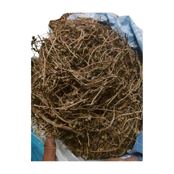 Vinarghya_–_Bhumi_Avala/_Amla/_Bhumyamalaki/_Bhuin_Amla/_Bhumala/_Bhui_Avla/_Kilanelli/_Jangli_Amlai/_Bahupatra_–_100G