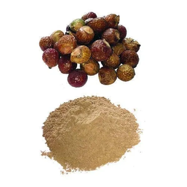 Vinarghya_–_Ritha_Powder/_Reetha/_Areetha_Churna/_Soap_Nut/_Kunkudukai/_Sapindus_Mukorossi/_रीठा_–_200G