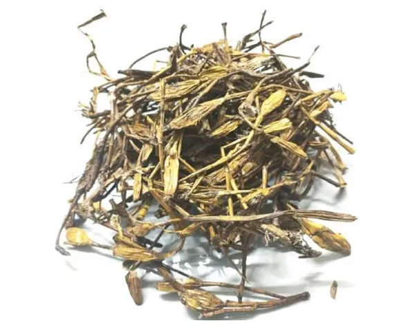 Vinarghya_–_Jivanti_Jad/_Jeevanti_Mul/_Leptadenia_Reticulata_Root/_Jiwanti/_Jeewanti/_Dori/_Bhadjivai/_Dodi_Saka/_Haranvel/_Kalasa/_Jivani/_Palaikkodi_–_100G