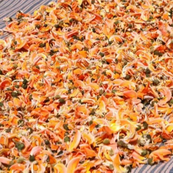 Vinarghya_–_Palash_Phool/_Butea_Monosperma_Flower_Dried/_Dhak_Palas_Phul/_Tesu/_Parasa/_Khakra/_Moduga/_Muttuga/_पलाश_के_फूल_–_100_Gm